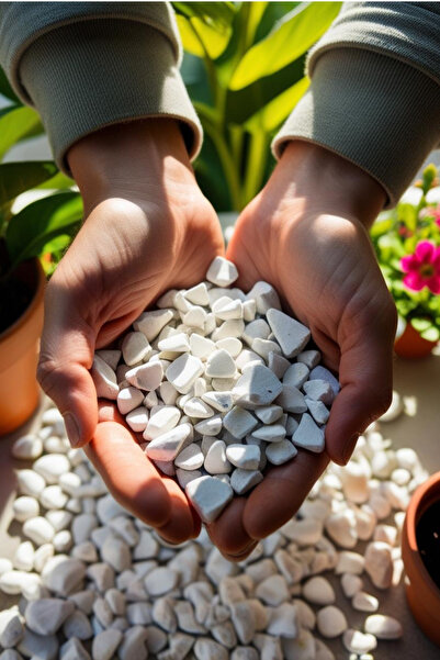 decoronay Doğal Beyaz Çakıl Taşı Ve Dekoratif Saksı Taşı | Vazo Süs Taşı ( 0,5 Cm- 1 Cm ) (1700 gr )