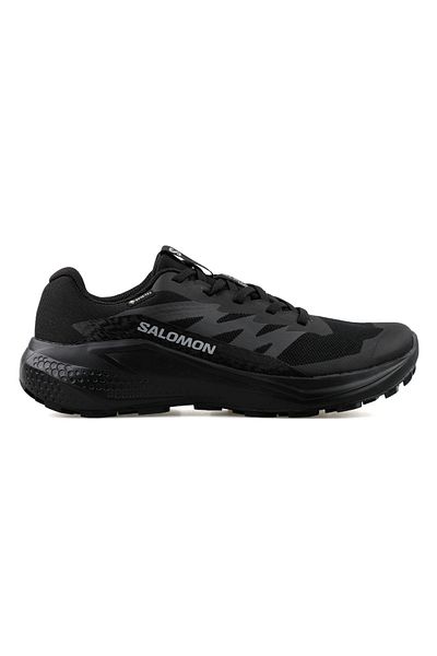 Salomon Alphaglide Gtx Men's Running Shoes