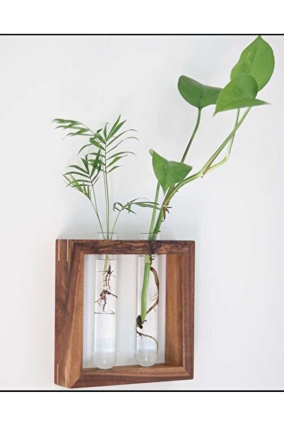 WoodGlow 2 li Tüp Çerçeve Vazo, Dekoratif Ahşap, Deney Tüpü Vazo
