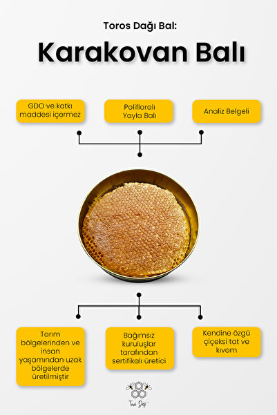 Toros Dağı Karakovan Balı 1 ,2 Kg