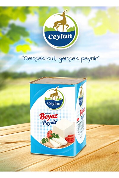SELİM CEYLAN Ezine Peyniri 19 KG