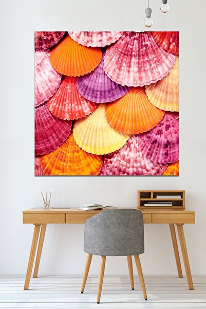 Morfil Sanat Atölyesi Πολύχρωμος πίνακας σε καμβά με θαλασσινά κοχύλια