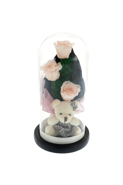 GiftExpress Buchet 3 Trandafiri Criogenati cu Ursulet