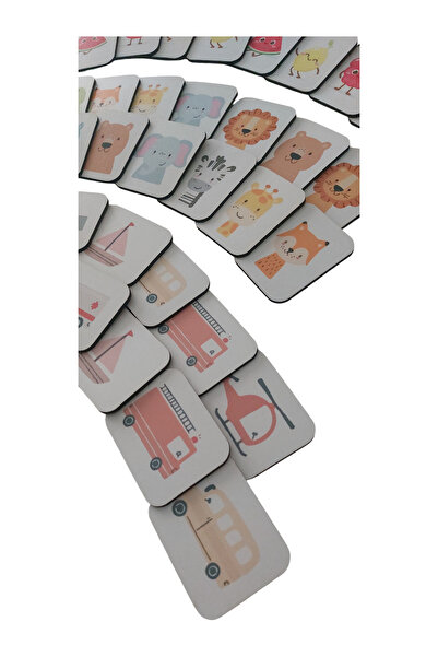 Fizello 4 Adet Eşleştirme Seti Meyveler - Renkler - Hayvanlar - Taşıtlar