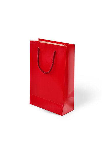 ALPJOY Red Cardboard Bag 11X16X5 cm 24 Pieces