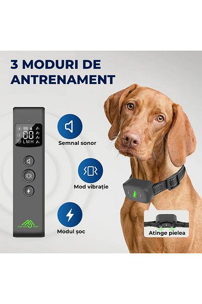 Fish & Paws Zgardă electrică Fish & Paws®, dresaj câini, telecomandă, vibrații/șoc, răză 487m, 62cm, Negru