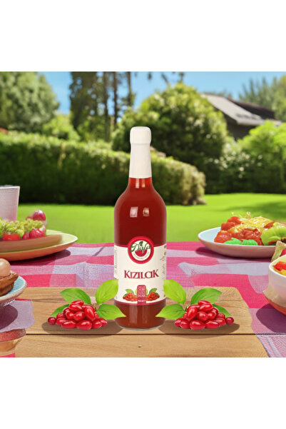 Dafa Kızılcık Suyu 750ml E, K, C Vitamini, Manganez, Potasyum Ve Lif Gibi Vitamin Ve Mineraller Içerir