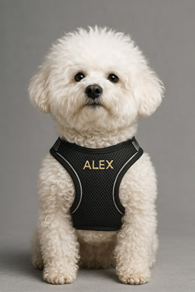 Lusi Doog Kişiye Özel Airmesh Göğüs Tasması Isimli Göğüs Tasması (SİYAH)