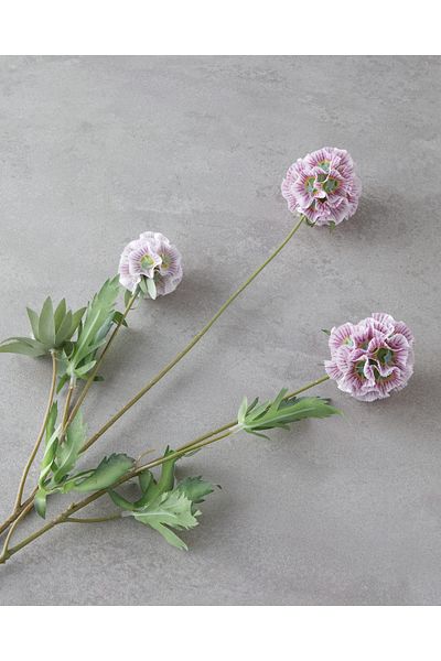English Home Star Flower Single Branch Τεχνητό Λουλούδι 71 cm Λευκό