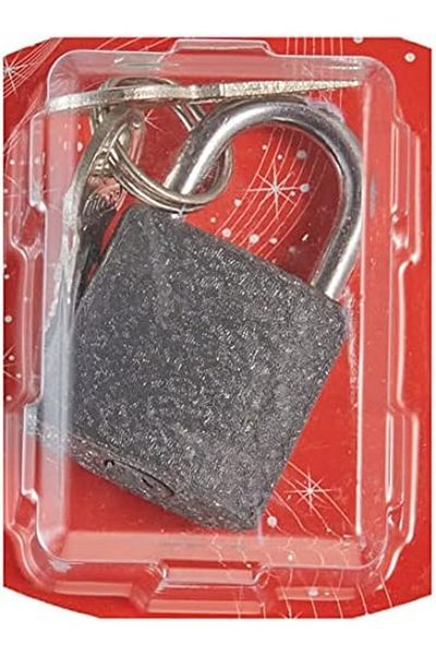 STOREMAX Ntwork 524164 قفل معلق رمادي، رمادي، 25 ملم فن 1087243