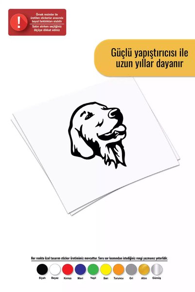 Generic Brand Golden Retriever - Vehicle, Auto, Laptop, Wall Compatible Stick...