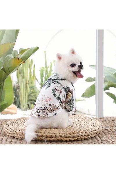 dukart Pet Small Breed Dog Shirt, Cat Shirt, Dog Summer T-Shirt