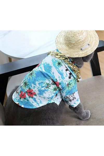 dukart Pet Small Breed Dog Shirt, Cat Shirt, Dog Summer T-Shirt