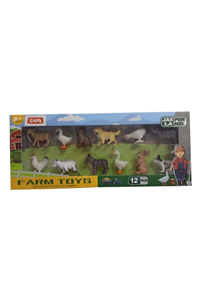 CToys Kümes Hayvanları 12li Kutulu Set