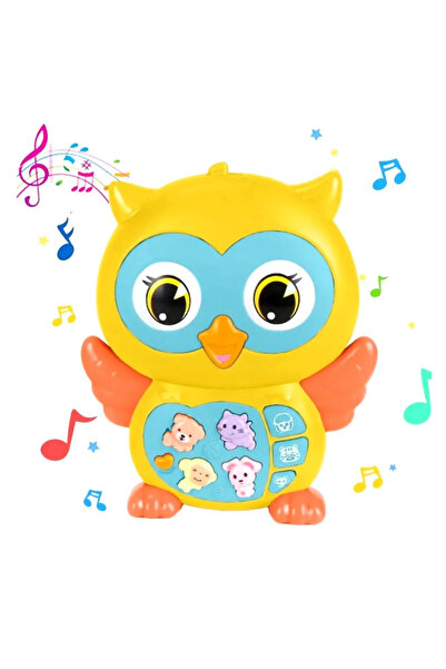 Işıklı ve Müzikli Baykuş Eğitici Bebek Piyanosu