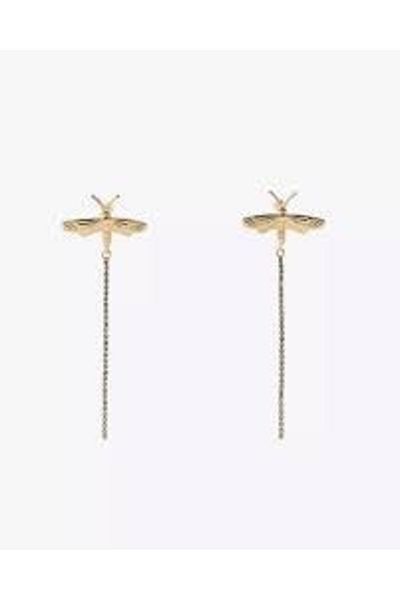 CHARMLUCKY Steel Dragonfly Earrings