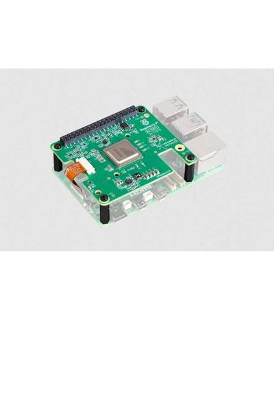 Raspberry Pi Aı Hat (13T)