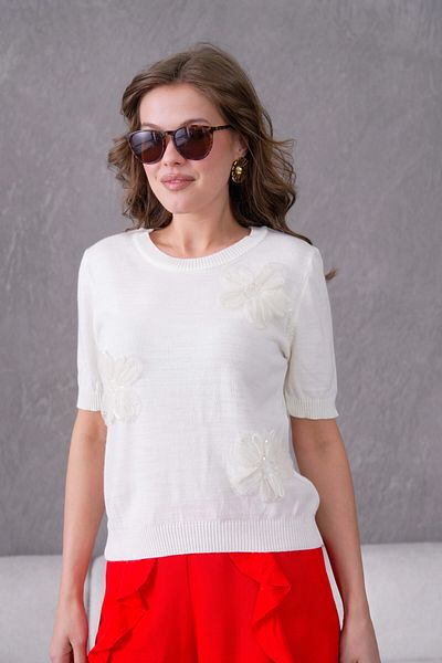 Park Karon Appliqued Short Sleeve Knitwear Sweater