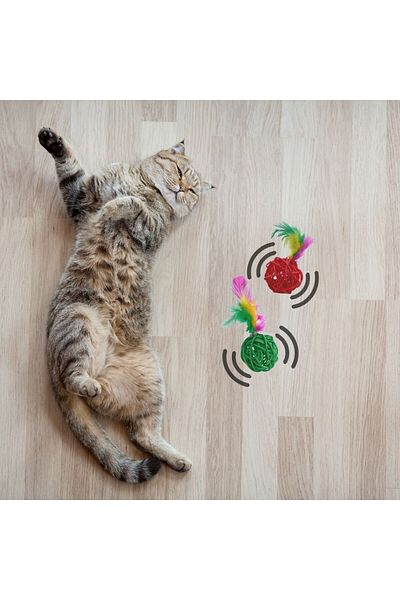 Emperium 2Pcs Rattan Colorful Plush Feather Cat Dog Toy Catch Chew Rattle Ball Toy (5122)