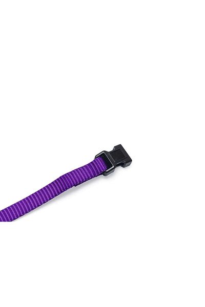 Beeztees Puppy Dog ​​Neck Collar, Various Colors, 22-35cm, 10mm Dpmah