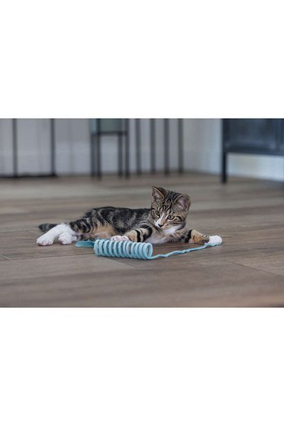 Beeztees Kitten Toy, Bow, Plush, 60X4X4Cm Hnzrn