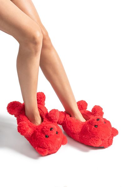 Twigy Papuci pentru animale Teddy Roșu 36/41