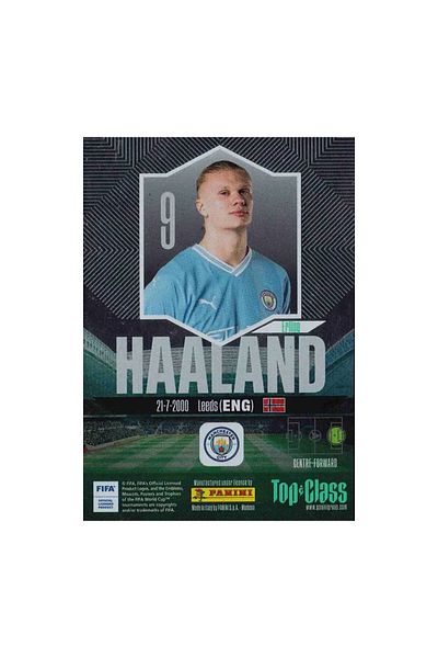 hediyecik Panini Fifa Top Class 2024 Holo Giants Card-Erling Haaland