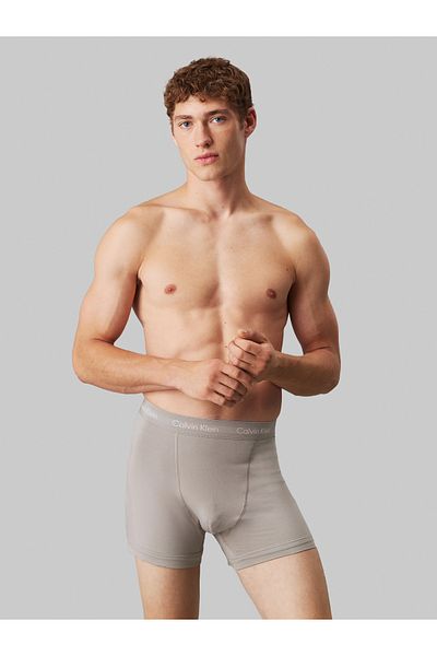 Calvin Klein Men Brown Trunk Pack of 3 pcs
