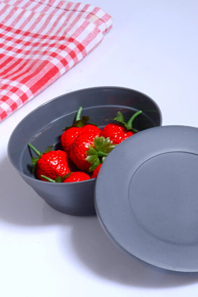 Home Alya Plastic 6-Piece Storage Container - Breakfast - Snack Bowl - 350 ml