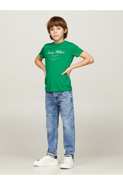 Tommy Hilfiger Tommy Hilfiger Boys Green Short Sleeve T-Shirt