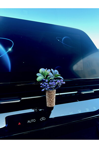 Mi-ÇA HOME زخرفة مكيف هواء السيارة الصغيرة المزخرفة | عطر سيارة على شكل زهرة ...