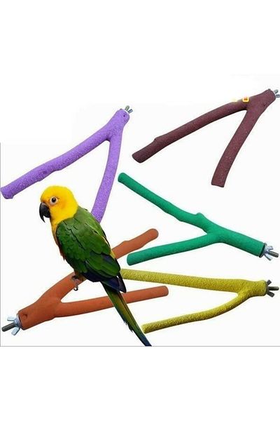 Others Perch and Sand Cooler for Birds