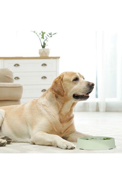 PUFO Slow Feeder Dog Bowl, 20 Cm, Green
