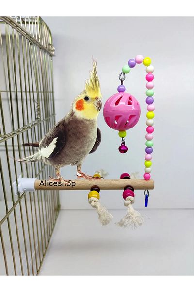 Alice Sultan Sevda paradise group perch with stress rope for budgies