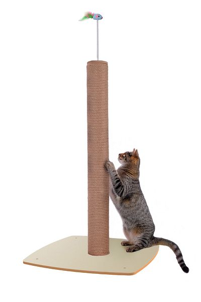 Patihomes Cat Scratching Post Cat Scratch 90cm + 20 cm 40X40 Mdf Base with Spring Toy