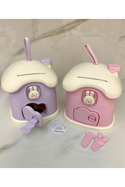 FAMU PAZARLAMA 2 Lİ PEMBE VE LİLA ANAHTARLI EV KUMBARA