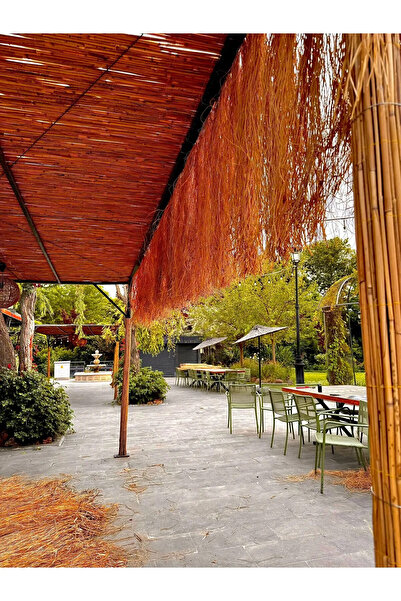 tunalar Hasır Püskül Otu Saçaklı Ot 2 Metre x 75 cm