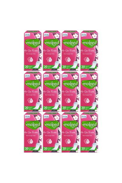 Molped Every Day Freshness Daily Pad 240 Pieces