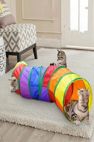 TİNEKE Curved Cat Tunnel Folding Rainbow Long Cat Dog Play Tunnel Pet Playing Tunnel