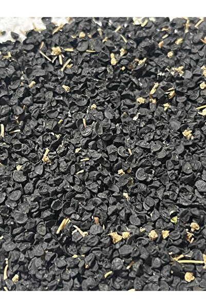 almancidan 2000 adet soğan tohumu yerli tohum Karaca yeşil soğan veya baş sog...