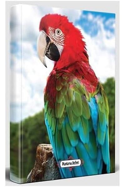 STOREMAX Muartshop - Notebook of Indefinite Planning 871301