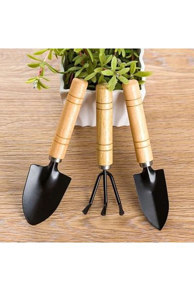 Goishtrie Small Garden Tools Set With Wooden Handle - Durable & Handheld For Small Plants(SET OF 3)