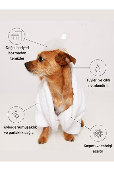 Greenwich Zero Point of Beauty Şampuan 400 ml | Organik Içerik | Tahriş Koku Giderici Nemlendirici | Pati Vücut | Kedi Köpek