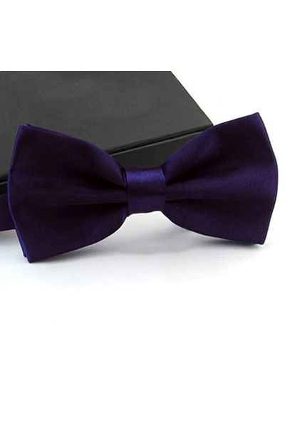 delis Men's bow tie, PP031, Dark purple