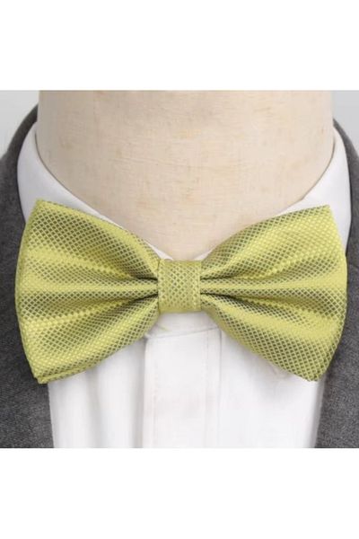 delis Papion pentru barbati, PP056, Olive