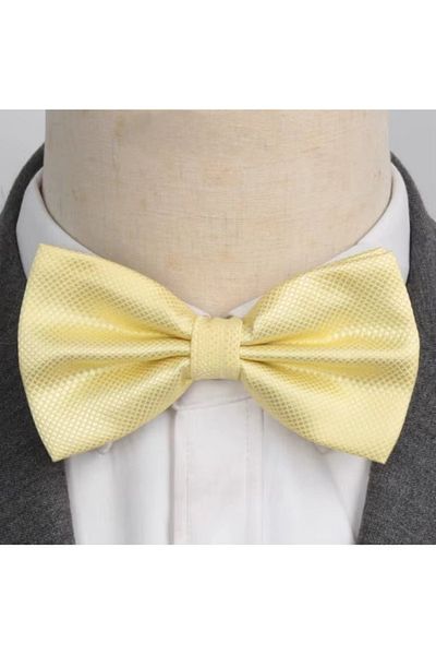 delis Men's bow tie, PP039, Yellow