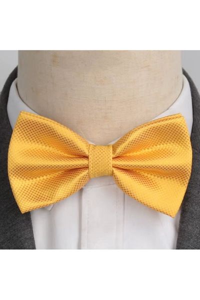 delis Men's bow tie, PP049, Yellow