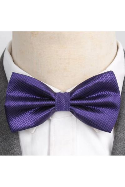 delis Men's bow tie, PP057, Purple