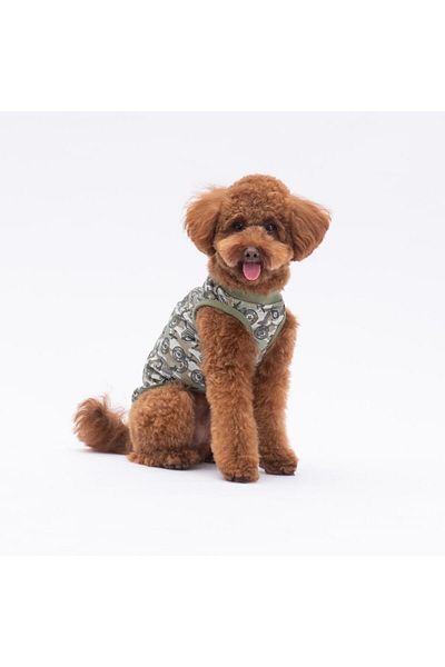 Pawstar Air Army Cat Dog T-Shirt - Cat Dog Apparel