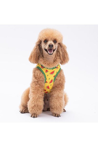 Pawstar Watermelon Cat Dog T-Shirt - Cat Dog Apparel